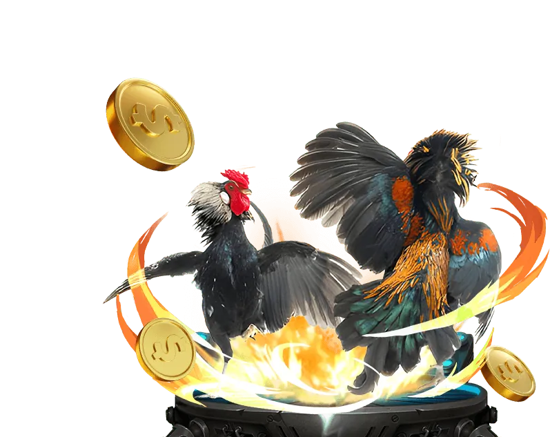 Truy cập độc quyền các trận đá gà trực tiếp